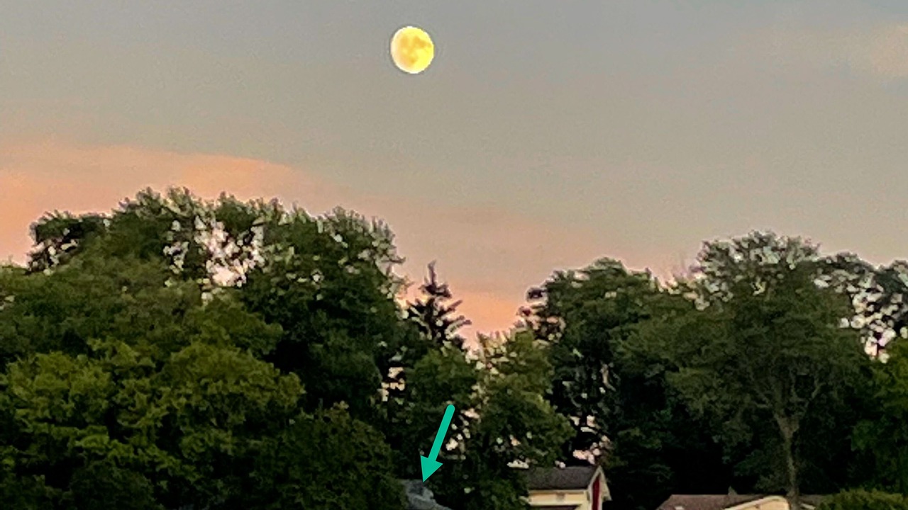 Photo of Others in Conneaut