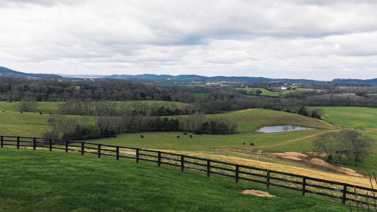 Photo of Others in Wartrace