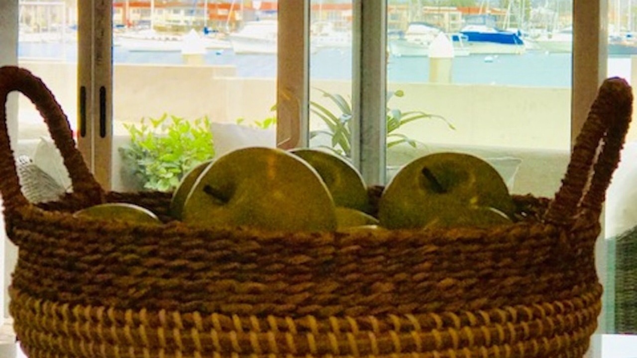 Photo of Others in Balboa Peninsula