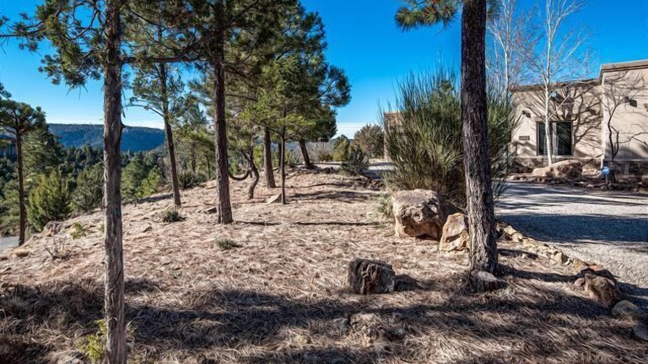 Photo of Others in Ruidoso