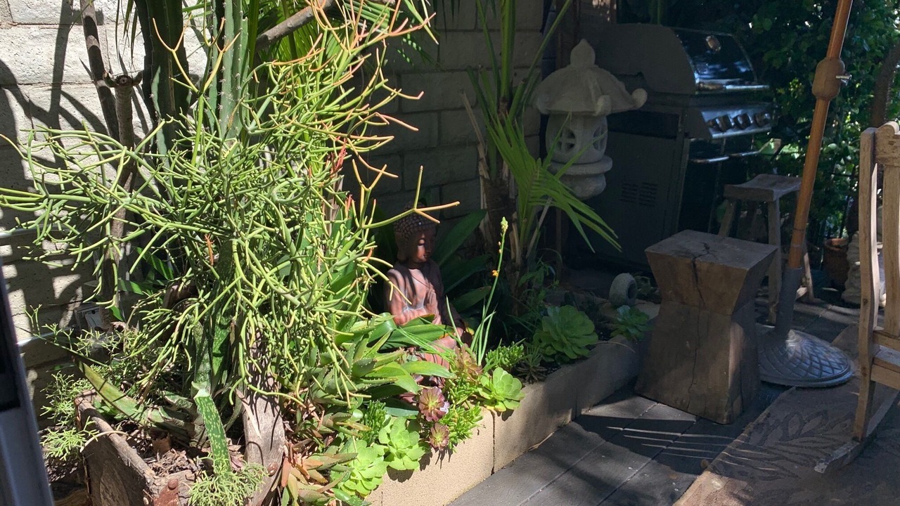 Photo of Outdoor in Hollywood Hills