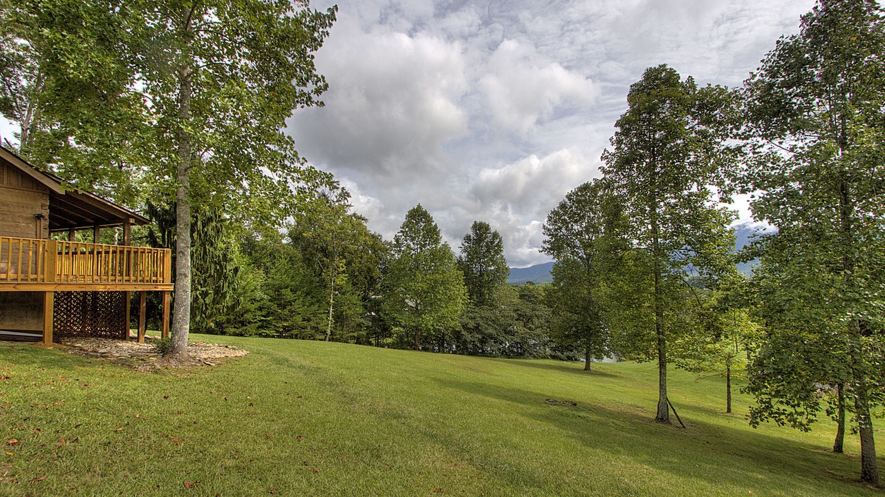 Photo of Outdoor in Wears Valley