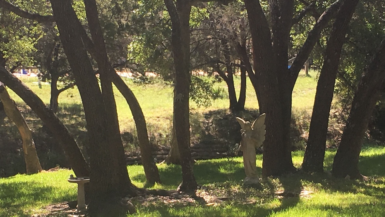 Photo of Outdoor in Austin