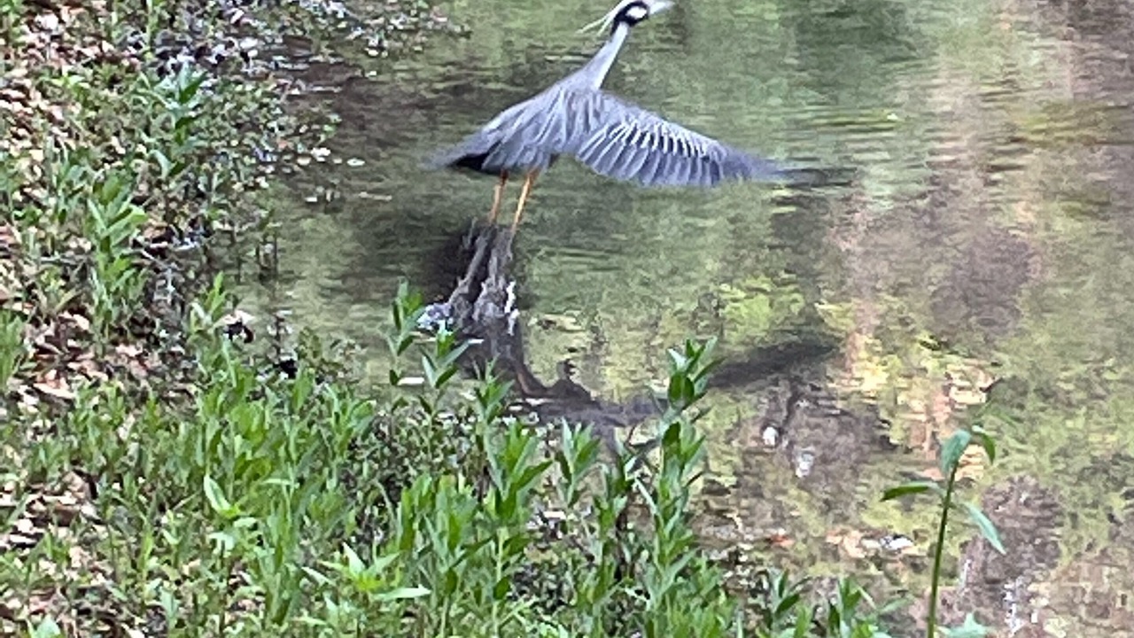 Photo of Outdoor in Austin