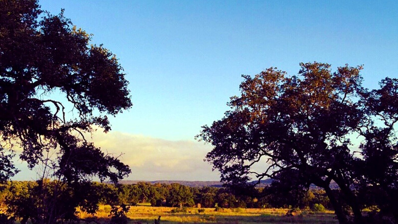 Photo of Outdoor in Bulverde