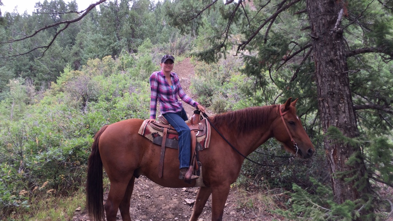 Photo of Others in Pagosa Highlands