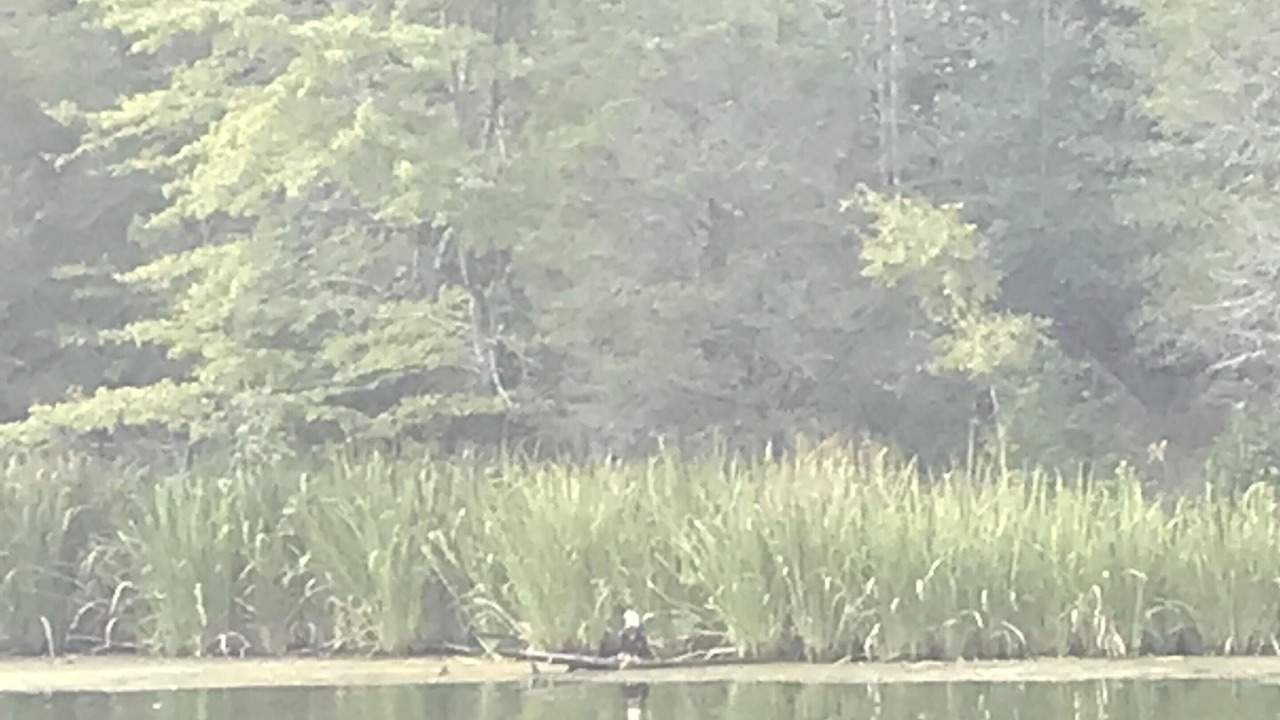 Photo of Others in Guntersville