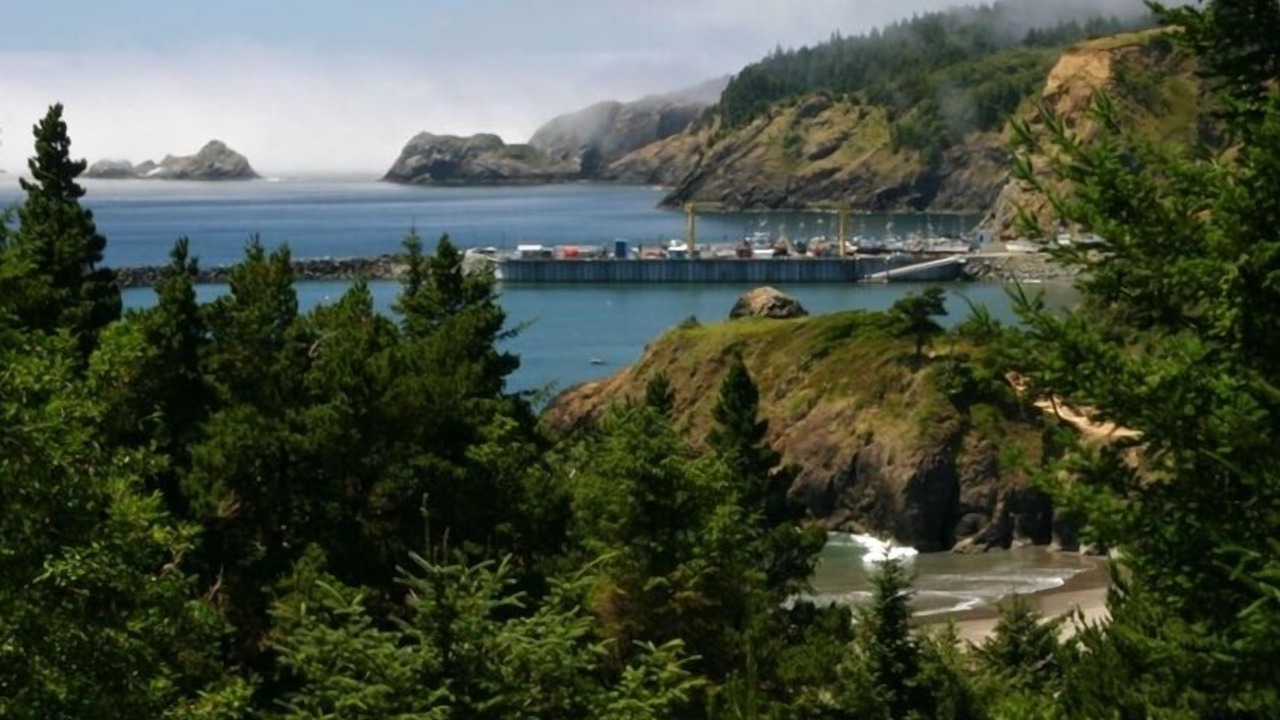 Photo of Others in Port Orford