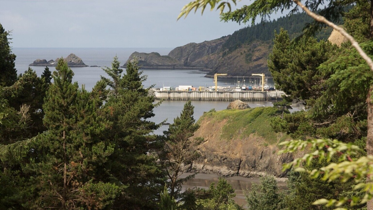 Photo of Others in Port Orford