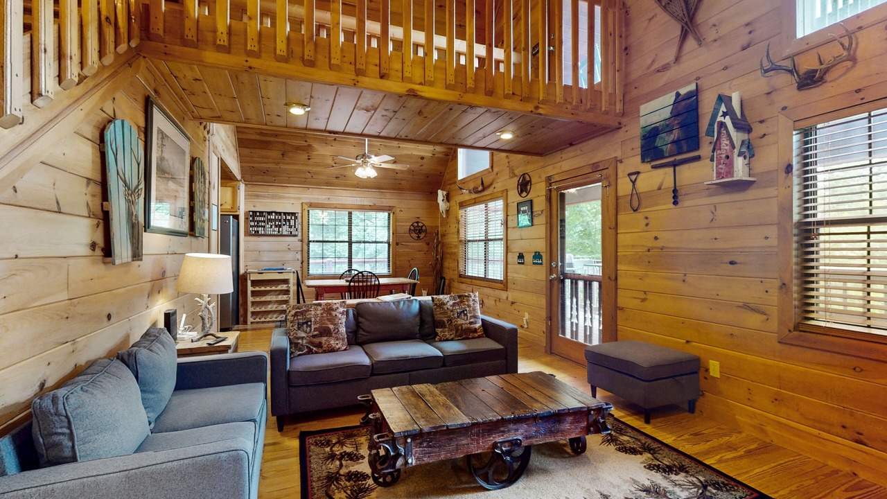 Photo of Livingroom in Mineral Bluff