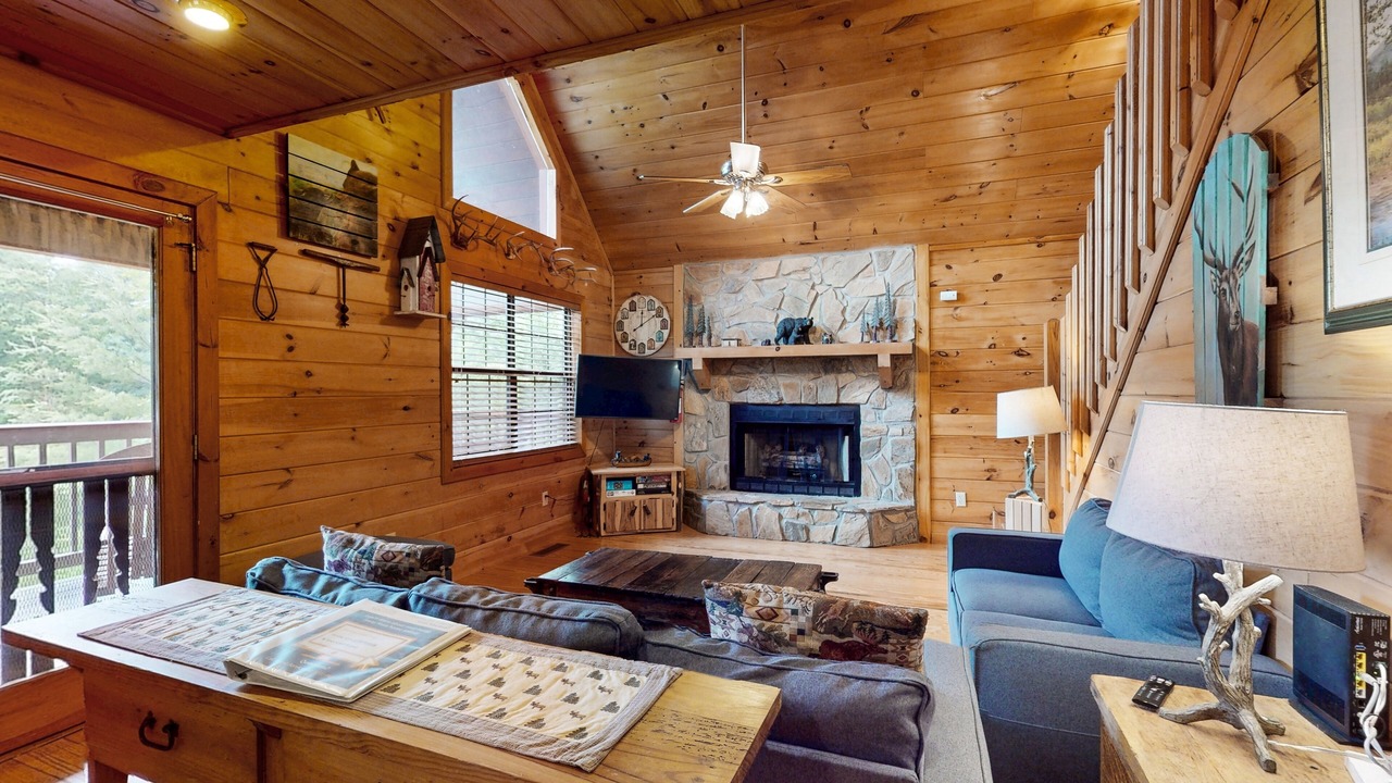 Photo of Livingroom in Mineral Bluff