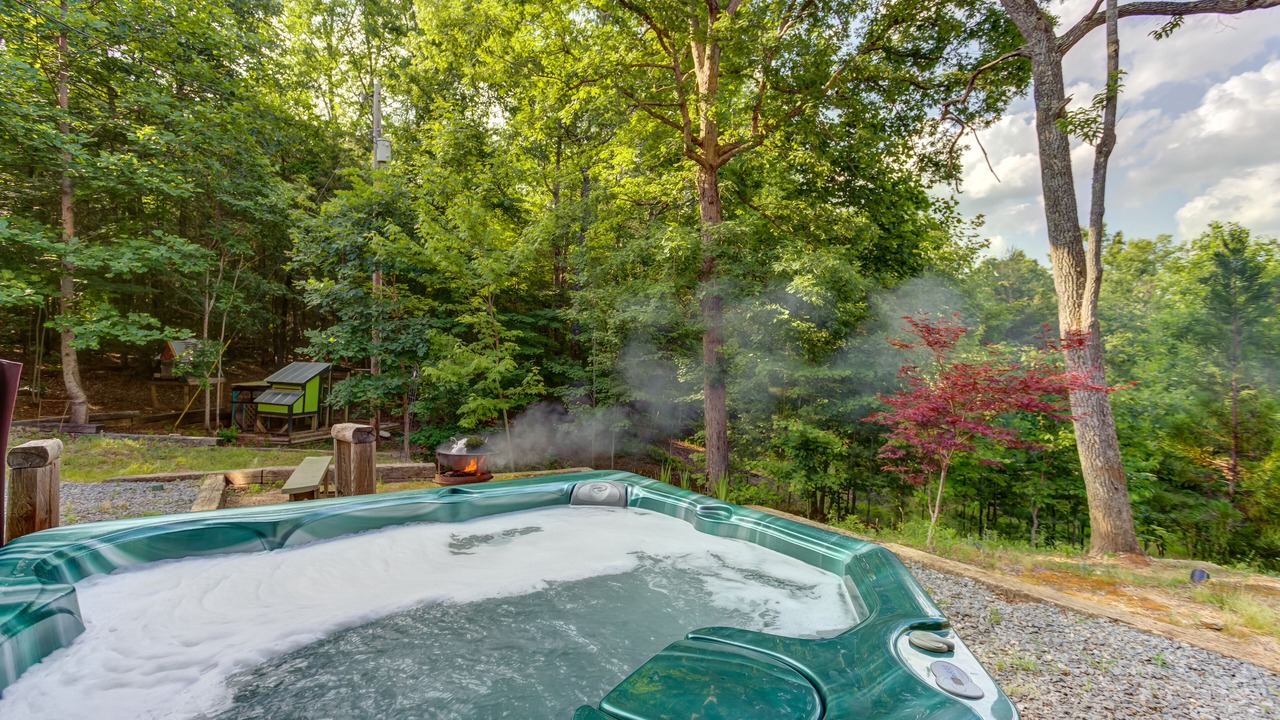 Photo of Outdoor in Mineral Bluff