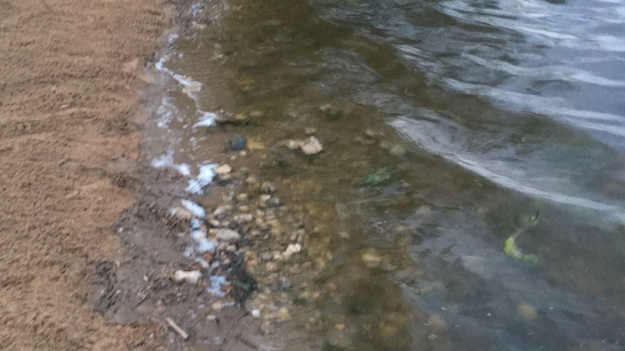 Photo of Others in Lake Koshkonong