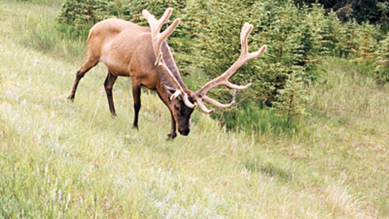 Photo of Outdoor in Red River