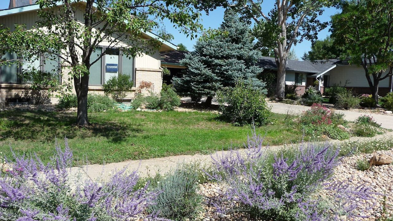 Photo of Others in Keewayden