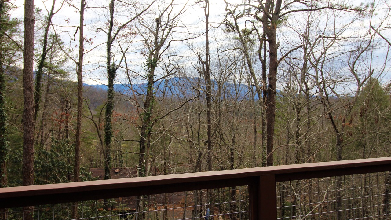 Photo of Outdoor in Pittman Center