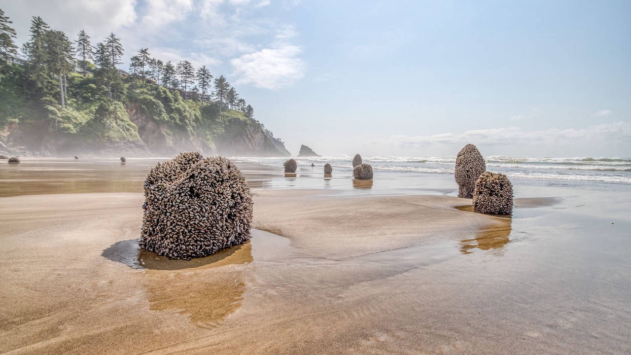 Photo of Others in Neskowin