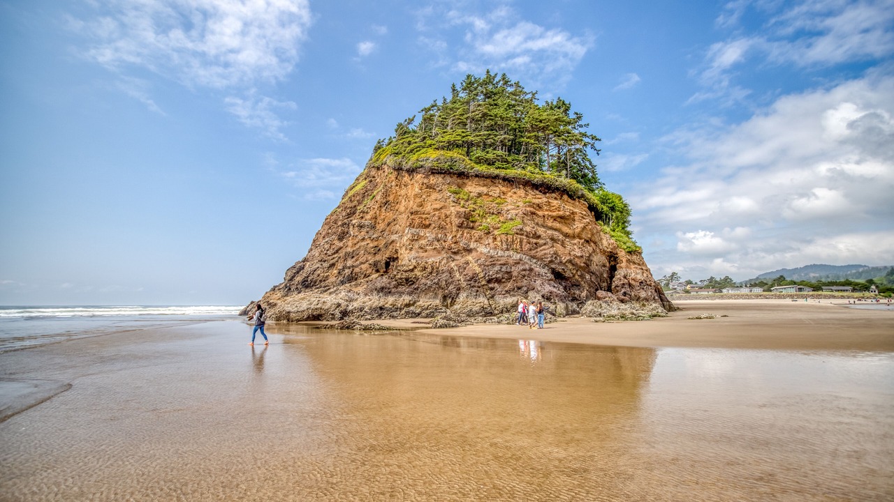 Photo of Others in Neskowin