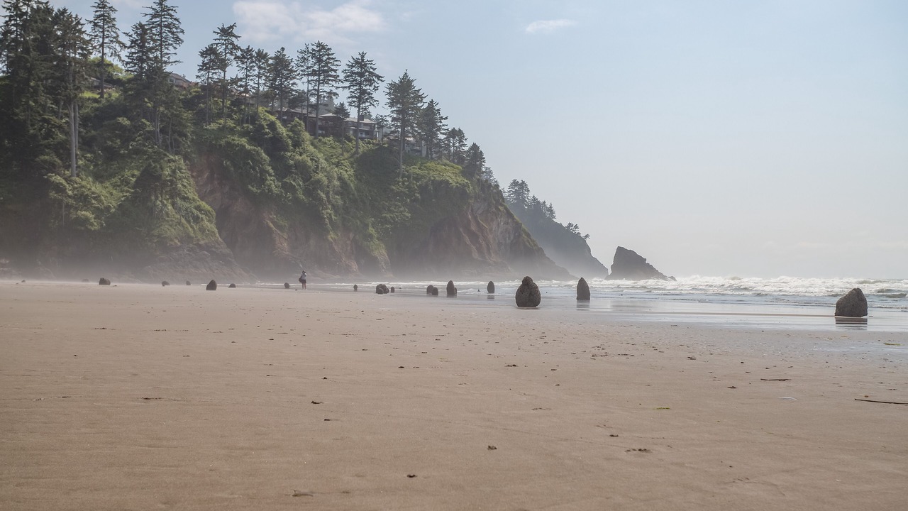 Photo of Others in Neskowin
