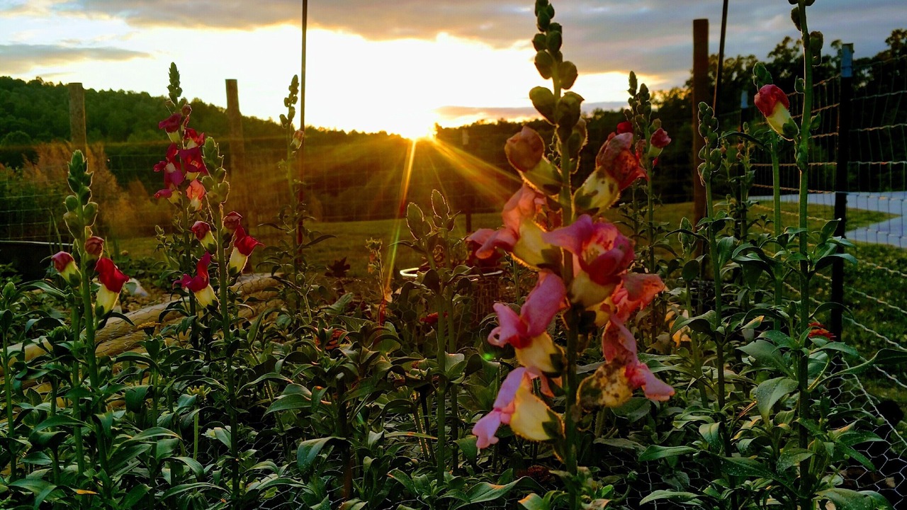 Photo of Outdoor in Sweetwater