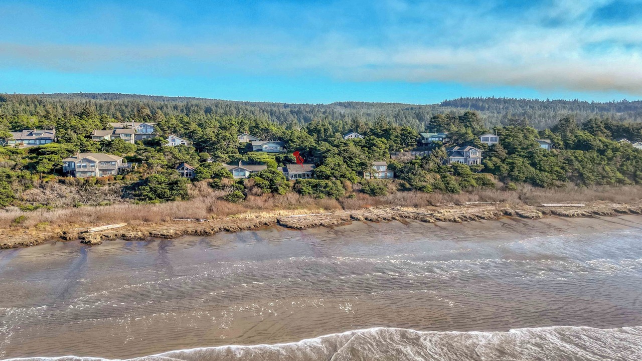 Photo of Others in Seal Rock