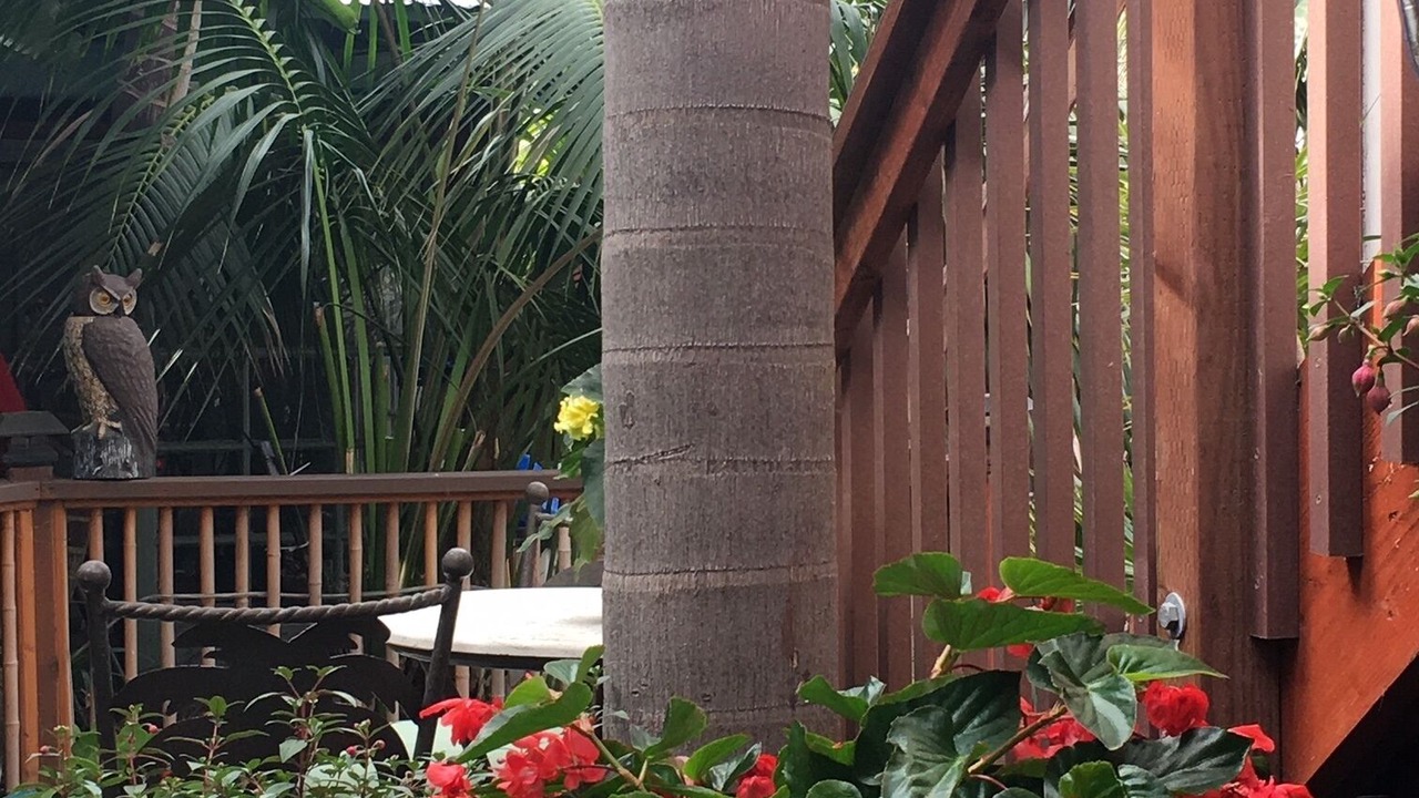 Photo of Outdoor in Encinitas