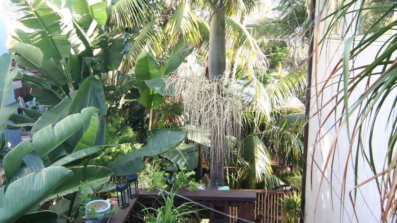 Photo of Outdoor in Encinitas