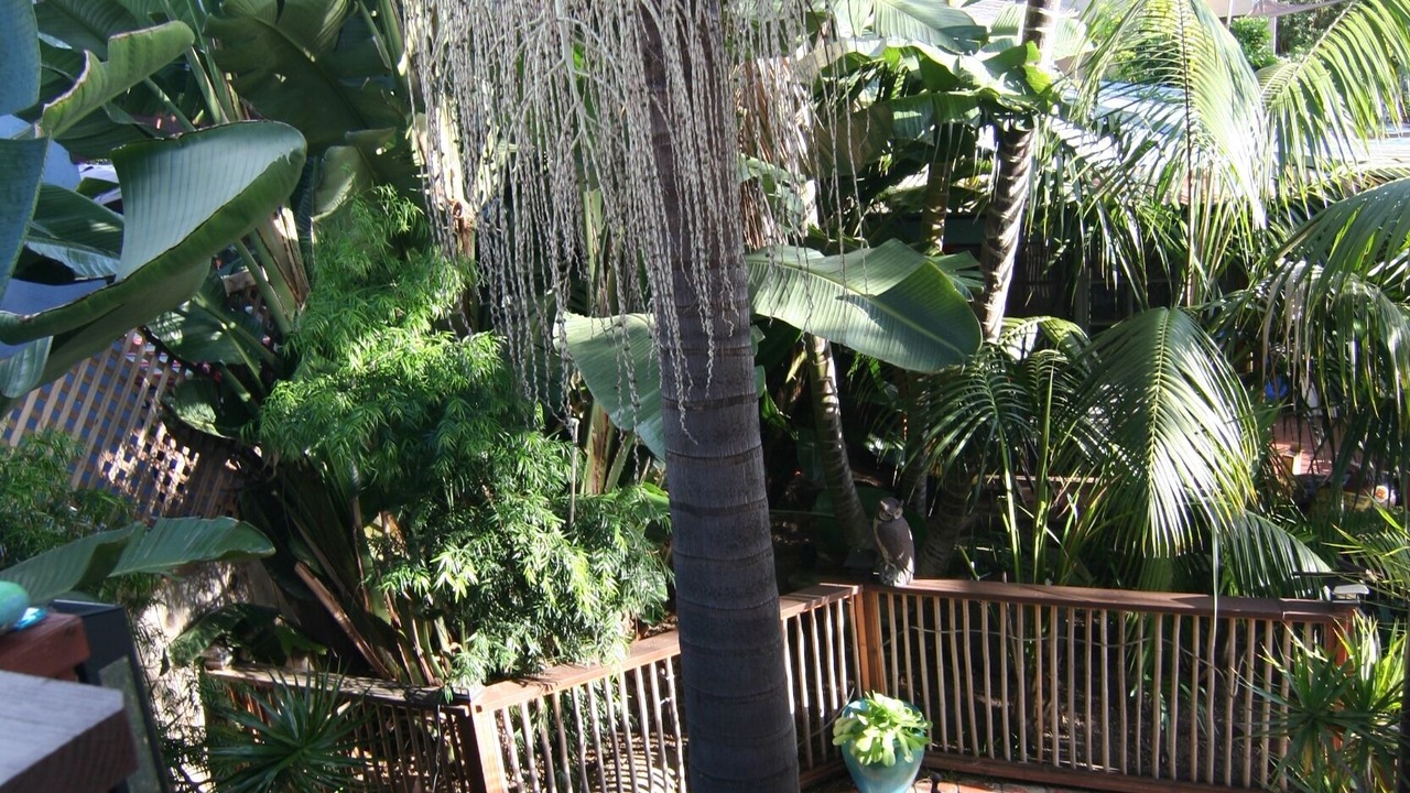 Photo of Outdoor in Encinitas