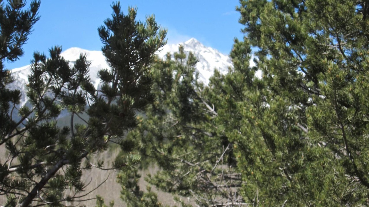 Photo of Outdoor in Nathrop