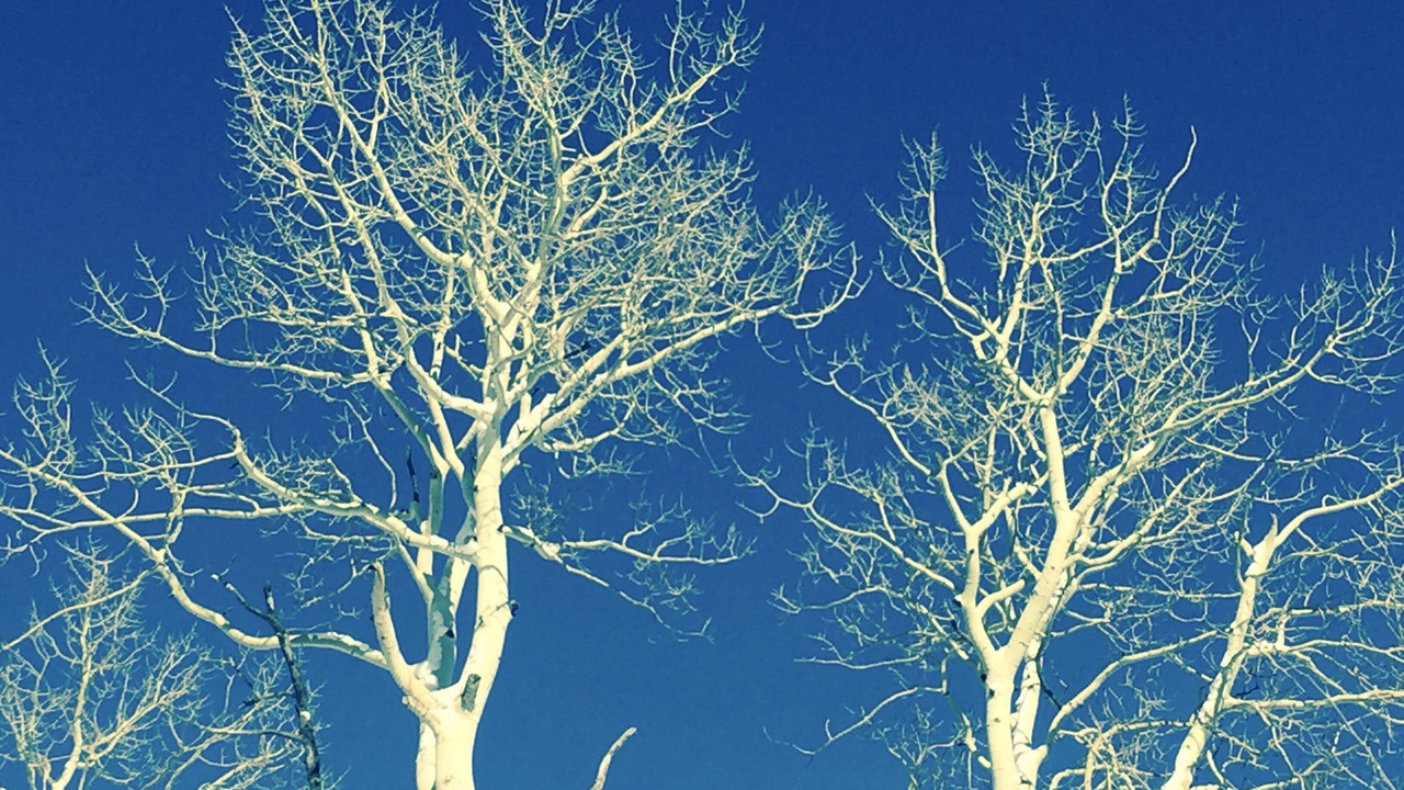 Photo of Others in Nathrop