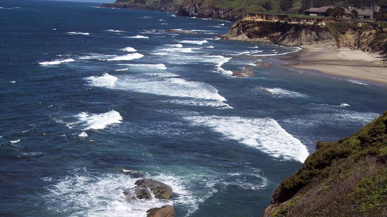 Photo of Others in Otter Rock