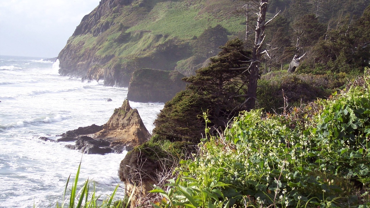 Photo of Others in Otter Rock