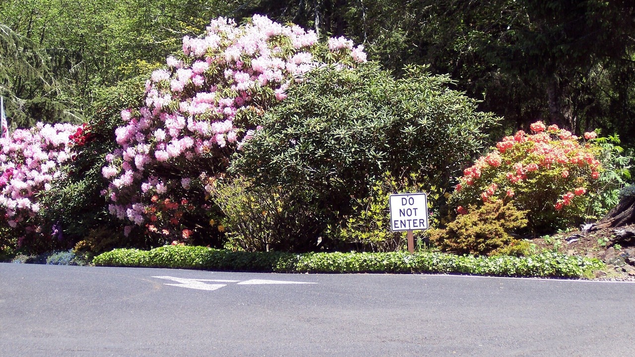 Photo of Outdoor in Otter Rock