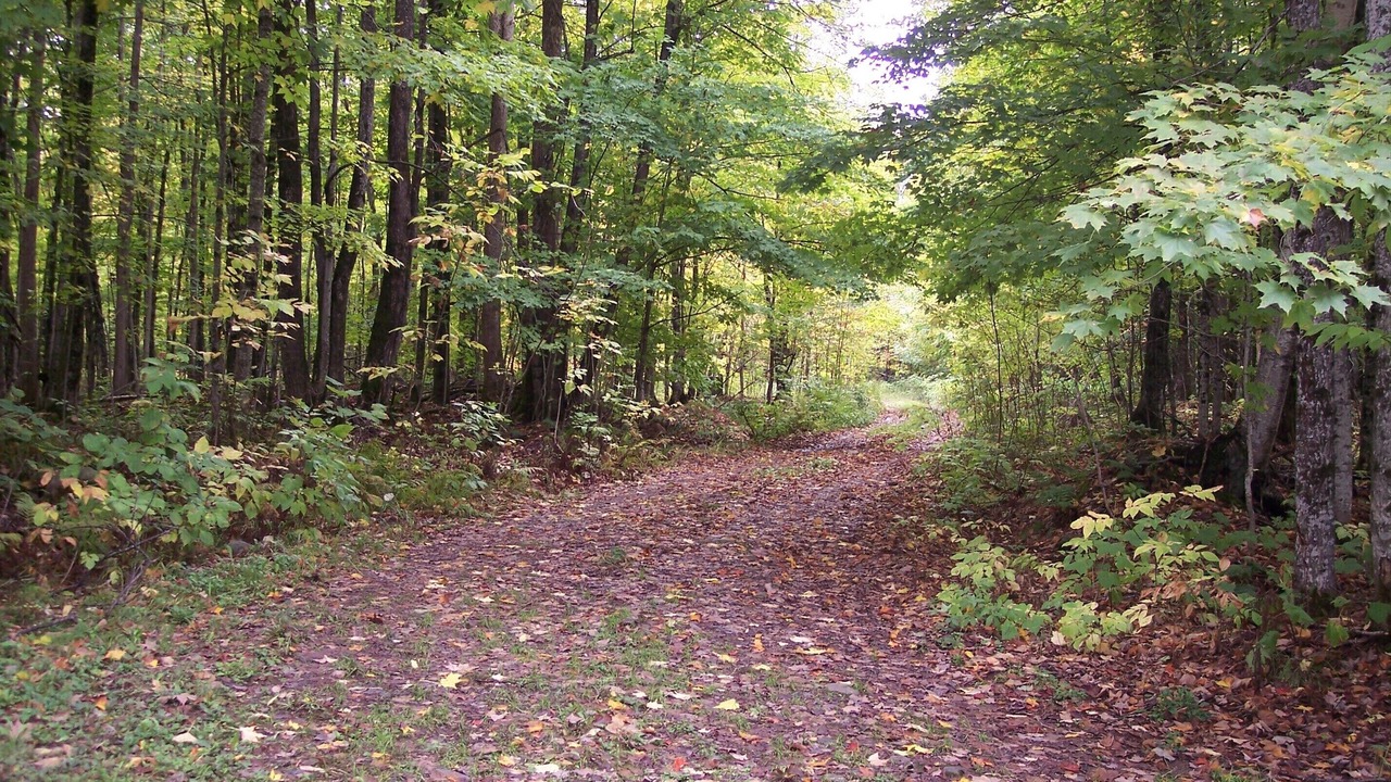 Photo of Outdoor in Bergland