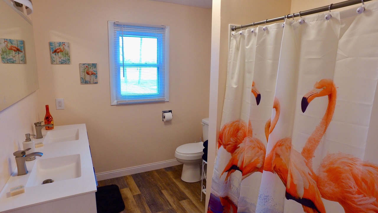 Photo of Bathroom in Paw Paw Lake