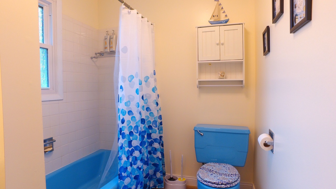 Photo of Bathroom in Paw Paw Lake