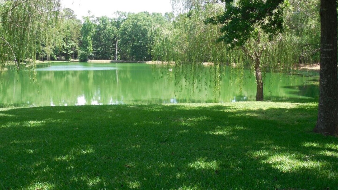 Photo of Outdoor in Mineola