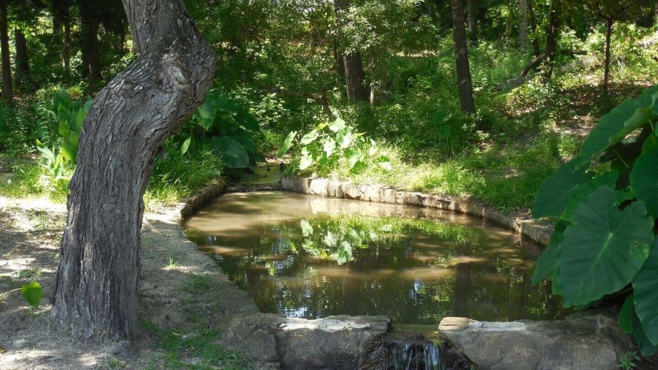 Photo of Outdoor in Mineola