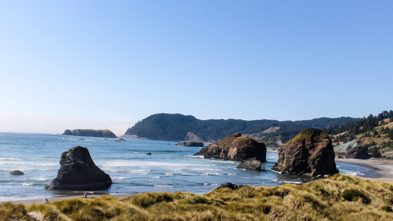 Photo of Others in Gold Beach