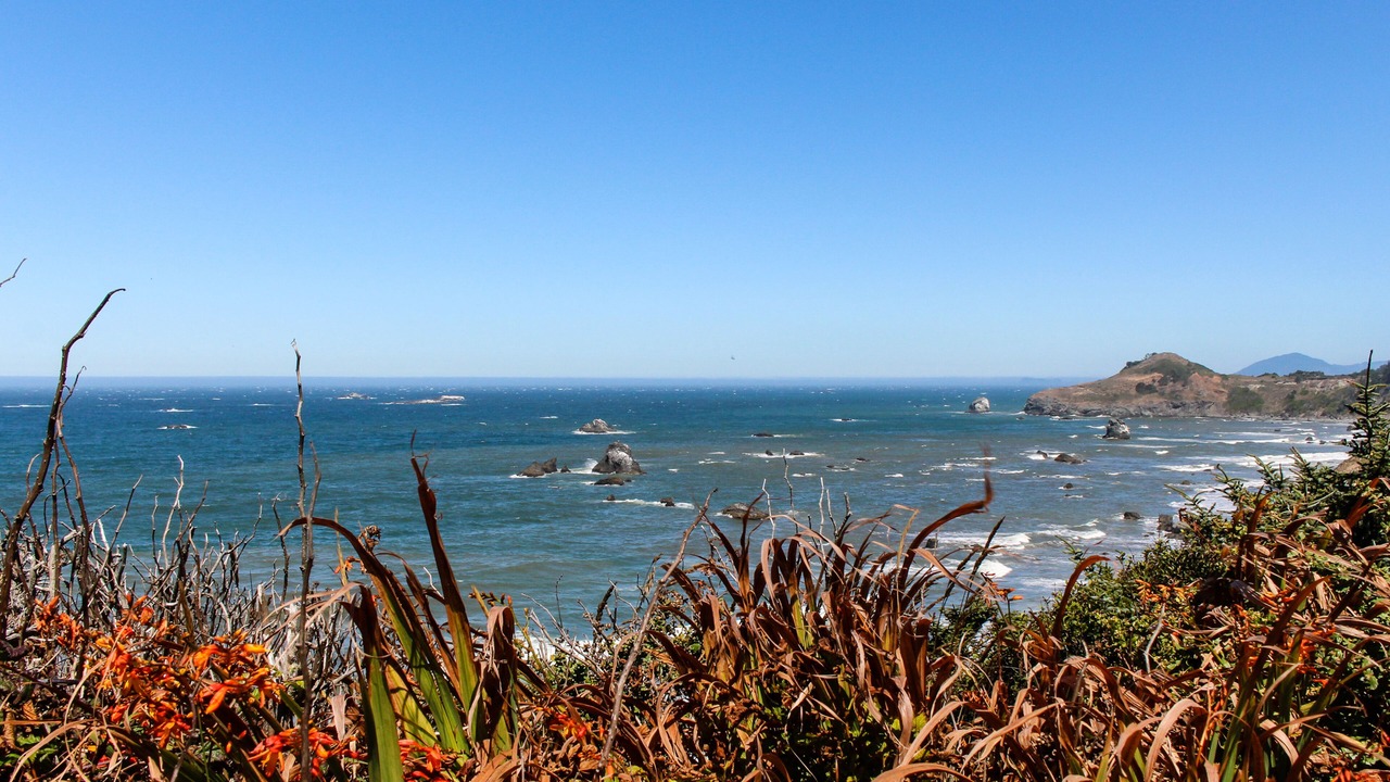 Photo of Others in Gold Beach