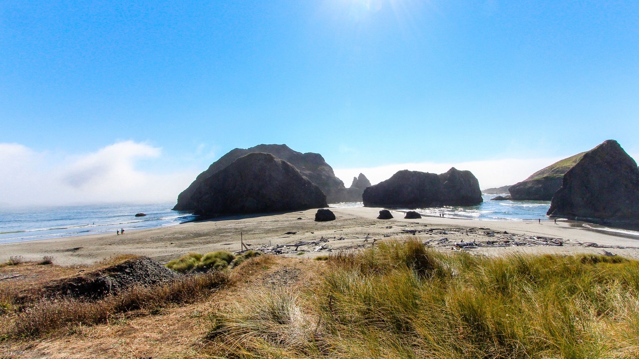 Photo of Others in Gold Beach