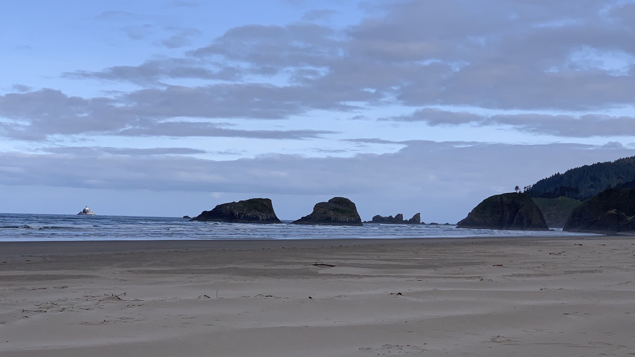 Photo of Others in Cannon Beach