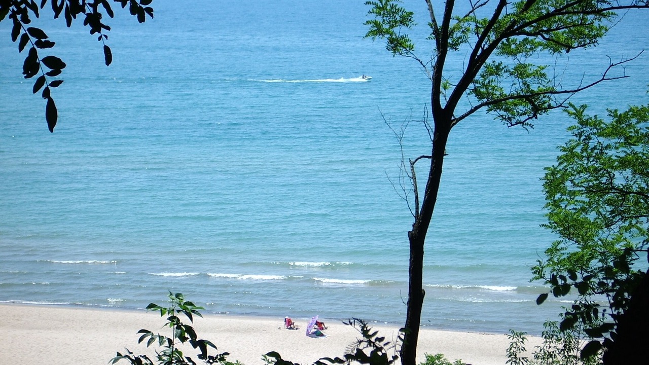Photo of Outdoor in Lakeside