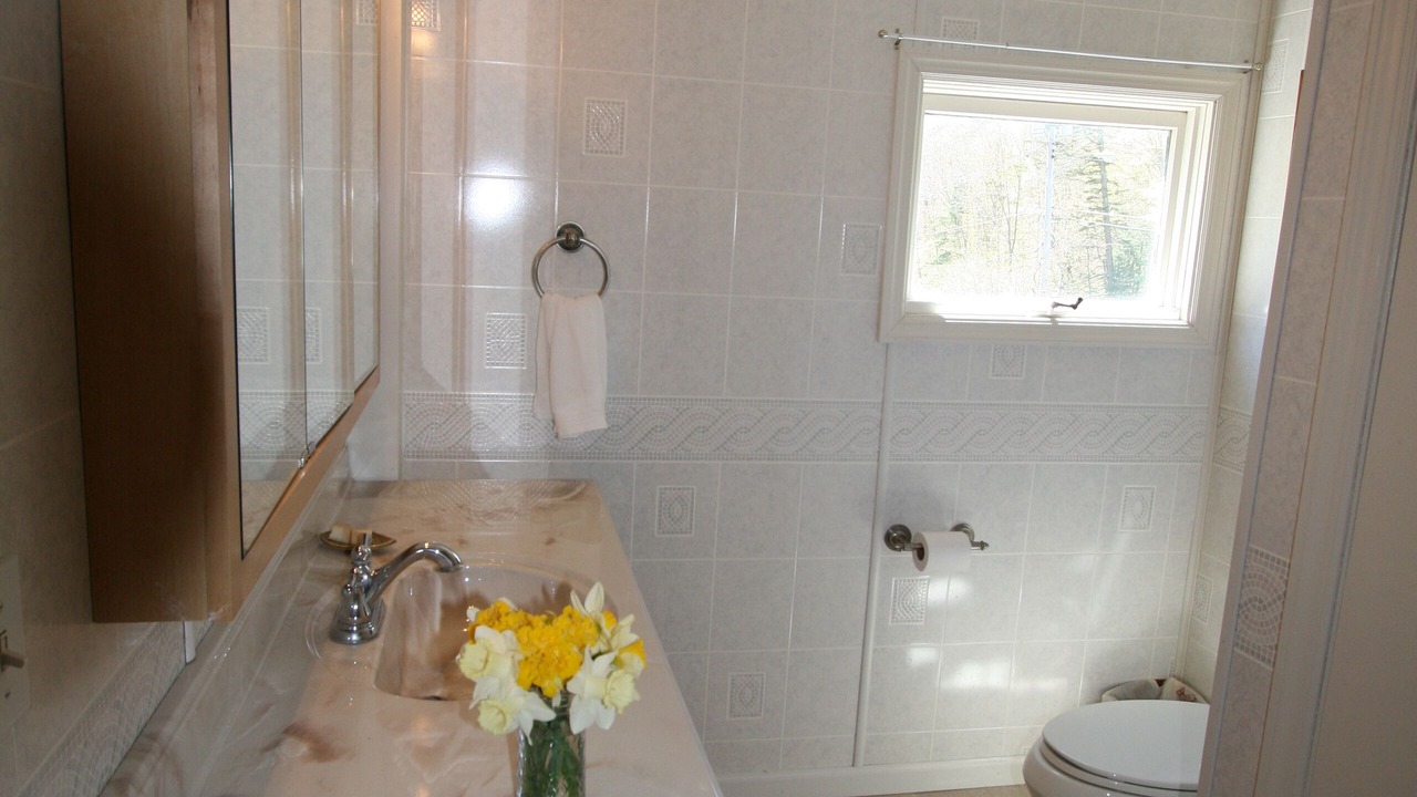 Photo of Bathroom in Lanesville