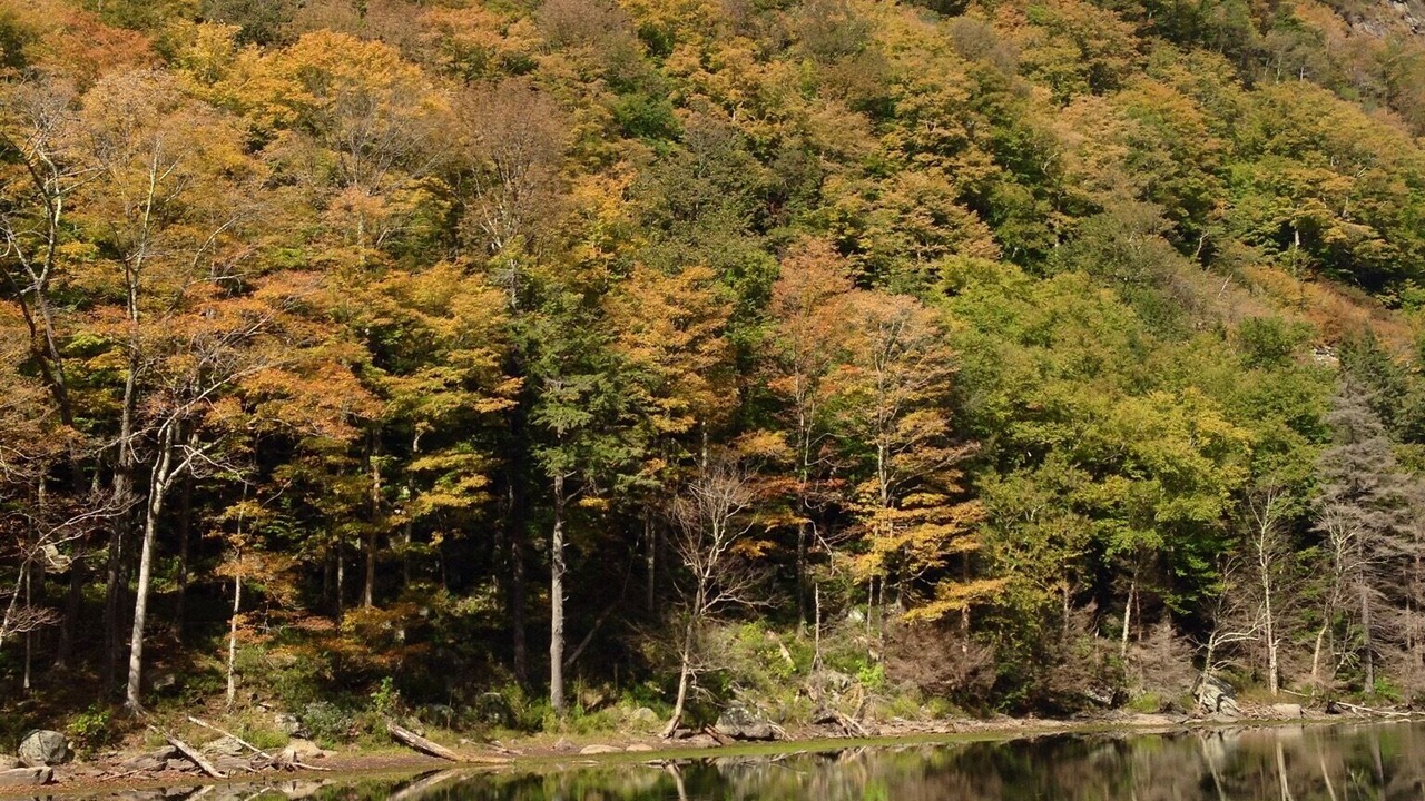 Photo of Outdoor in Lanesville
