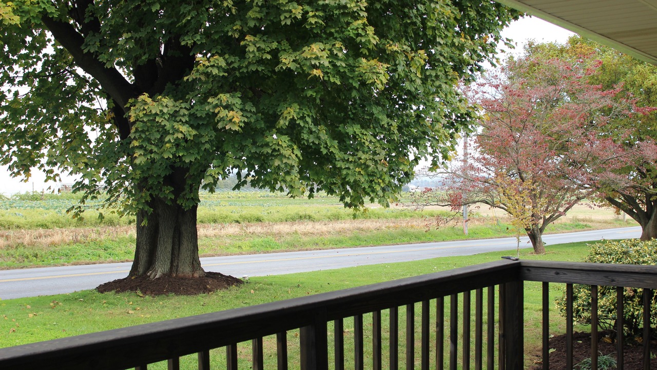 Photo of Outdoor in Paradise