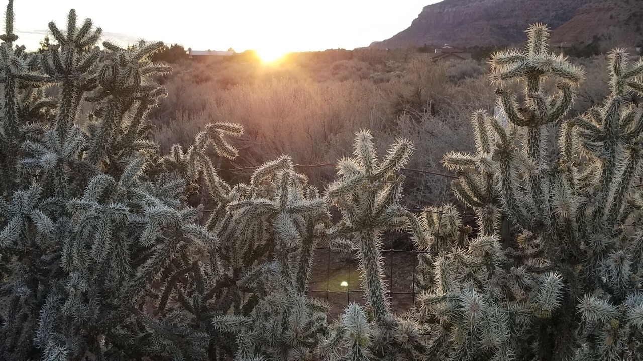 Photo of Others in Kanab