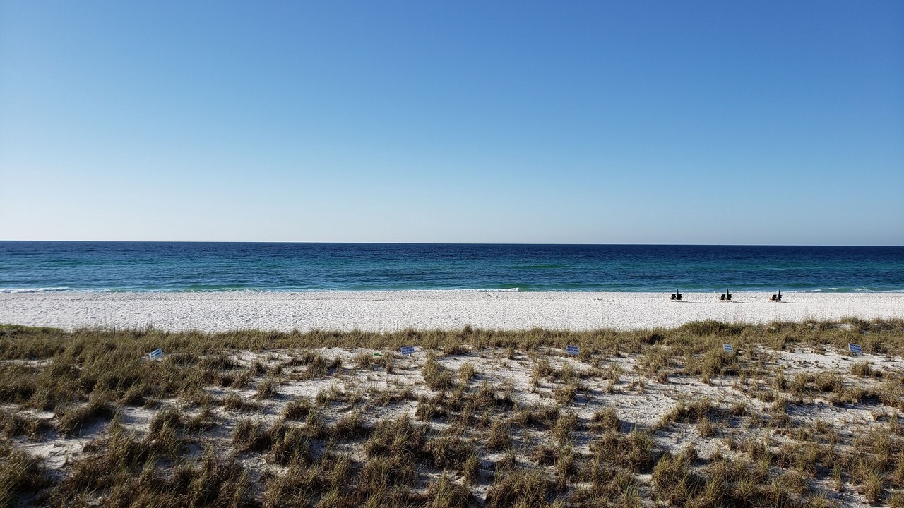 Photo of Others in Navarre Beach