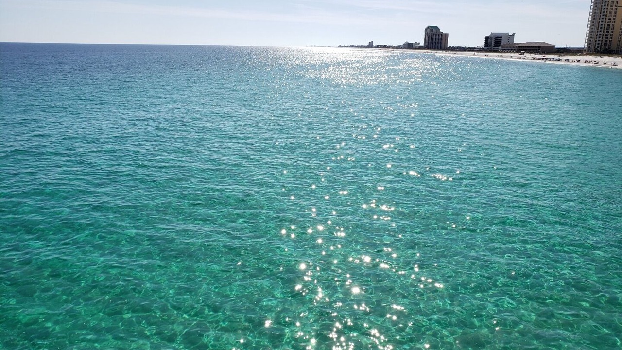 Photo of Others in Navarre Beach
