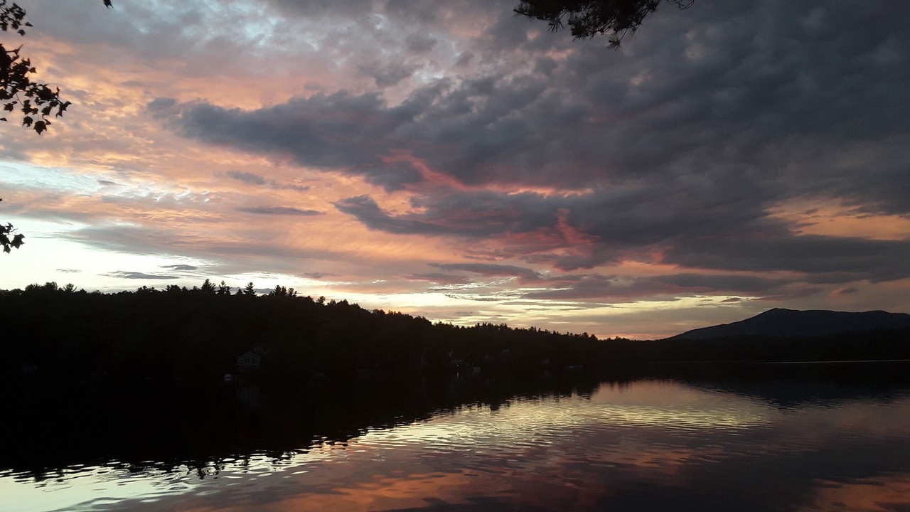 Photo of Others in Rindge